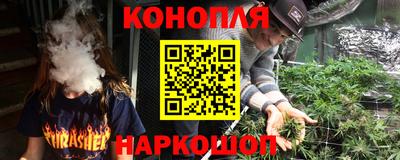 трава Новозыбков