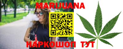 трава Новозыбков
